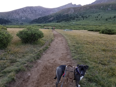 Mount Bierstadt (10).jpg